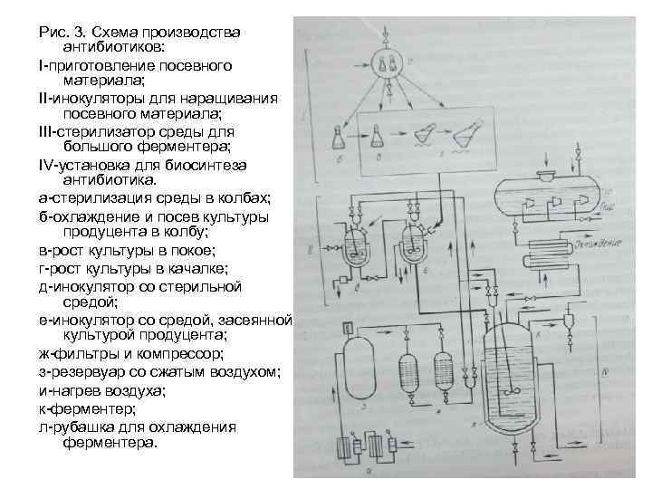 Рис. 3. Схема производства антибиотиков: I-приготовление посевного материала; II-инокуляторы для наращивания посевного материала; III-стерилизатор