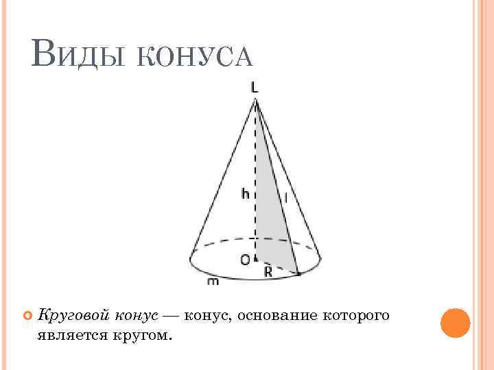 ВИДЫ КОНУСА Круговой конус — конус, основание которого является кругом. 