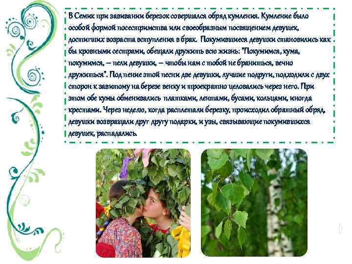 В Семик при завивании березок совершался обряд кумления. Кумление было особой формой посестримства или