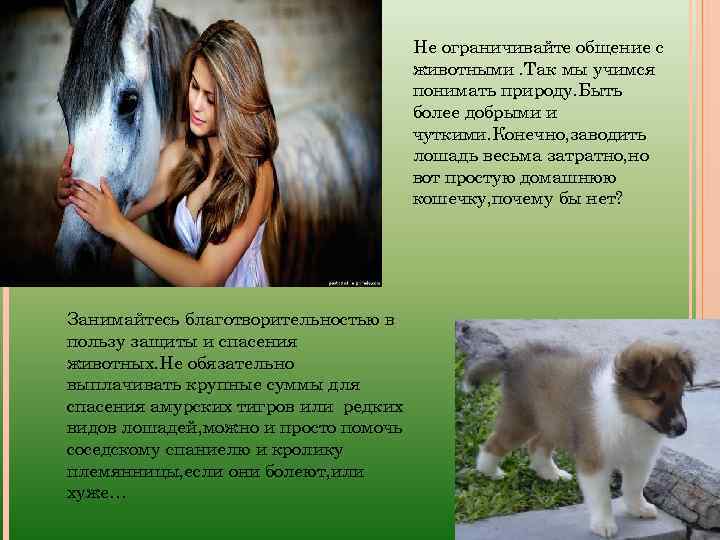 Не ограничивайте общение с животными. Так мы учимся понимать природу. Быть более добрыми и