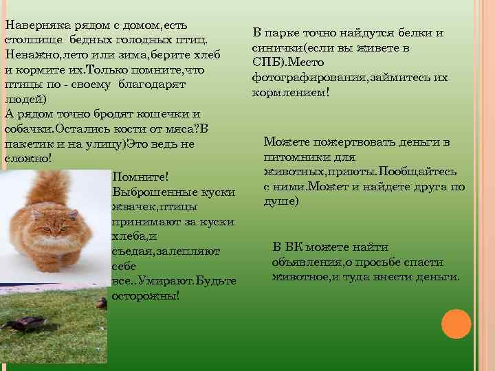 Наверняка рядом с домом, есть столпище бедных голодных птиц. Неважно, лето или зима, берите