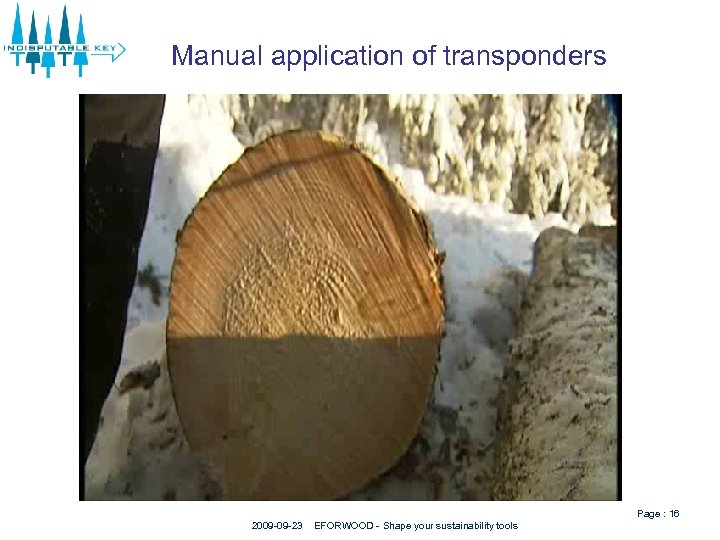 Manual application of transponders Page : 16 2009 -09 -23 EFORWOOD - Shape your