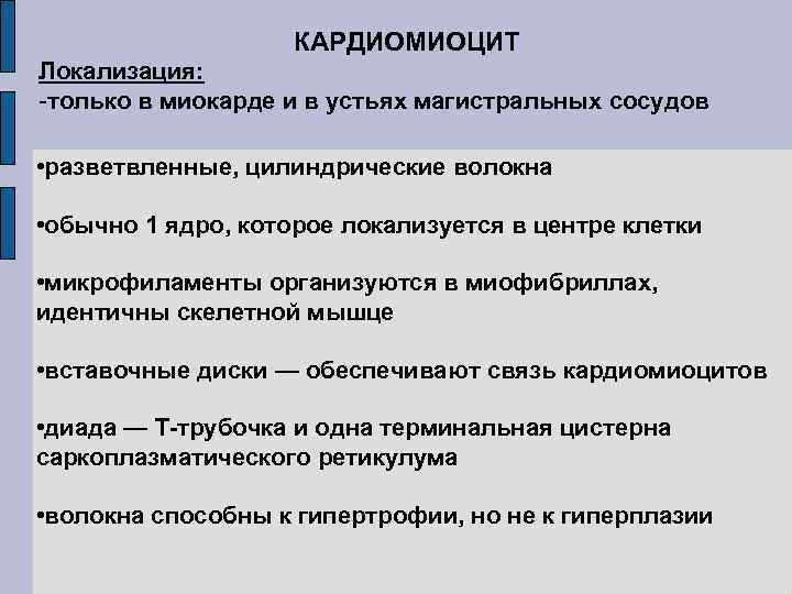 КАРДИОМИОЦИТ Локализация: -только в миокарде и в устьях магистральных сосудов • разветвленные, цилиндрические волокна