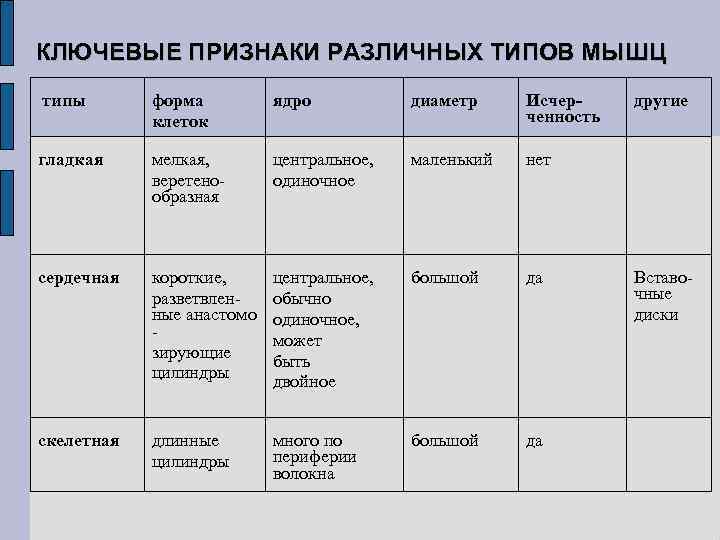 КЛЮЧЕВЫЕ ПРИЗНАКИ РАЗЛИЧНЫХ ТИПОВ МЫШЦ типы форма клеток ядро диаметр Исчерченность гладкая мелкая, веретенообразная