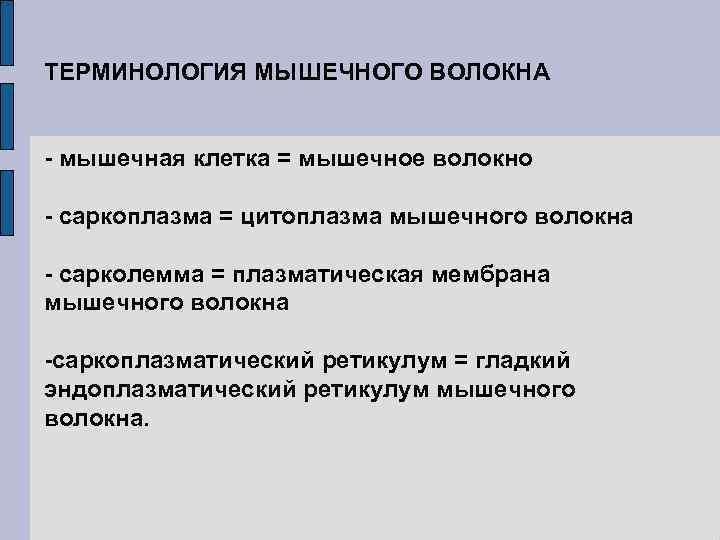 ТЕРМИНОЛОГИЯ МЫШЕЧНОГО ВОЛОКНА - мышечная клетка = мышечное волокно - саркоплазма = цитоплазма мышечного