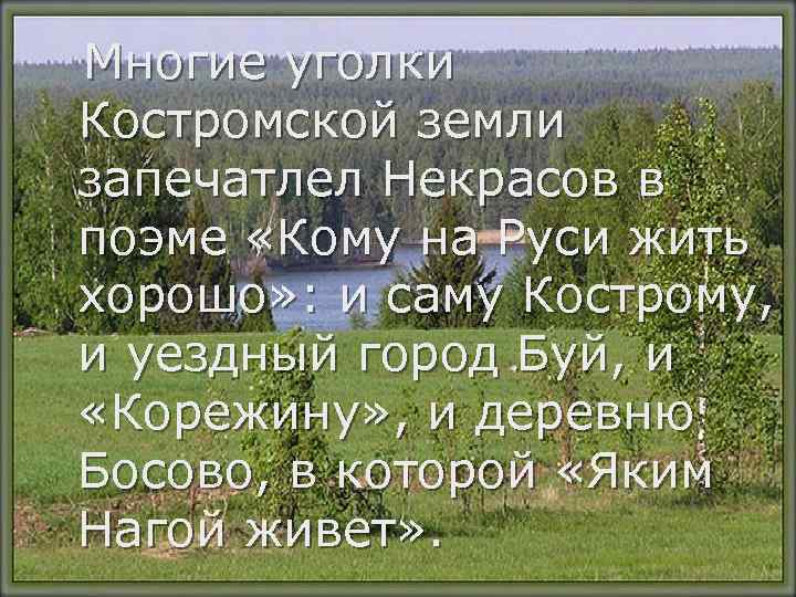 Многие уголки Костромской земли запечатлел Некрасов в поэме «Кому на Руси жить хорошо» :