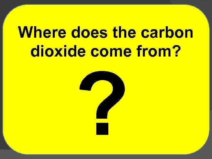 Where does the carbon dioxide come from? ? 