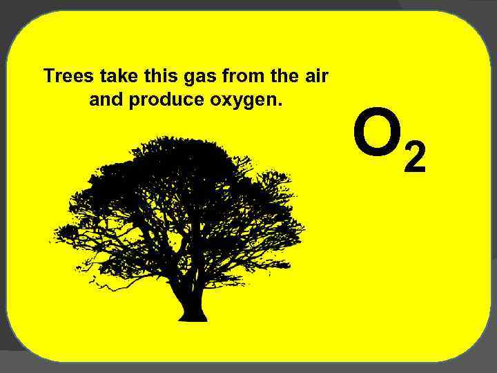 Trees take this gas from the air and produce oxygen. O 2 