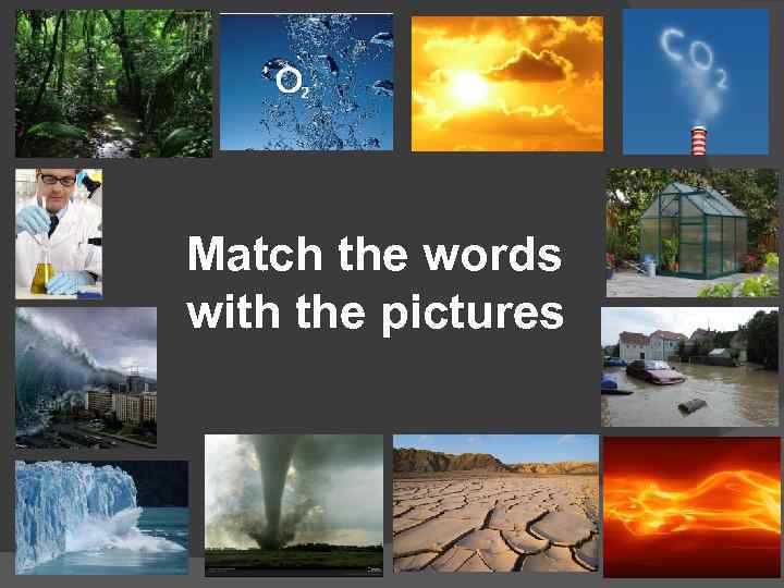 Match the words with the pictures 