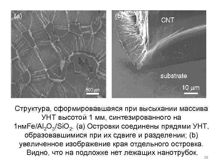 Структура, сформировавшаяся при высыхании массива УНТ высотой 1 мм, синтезированного на 1 нм. Fe/Al