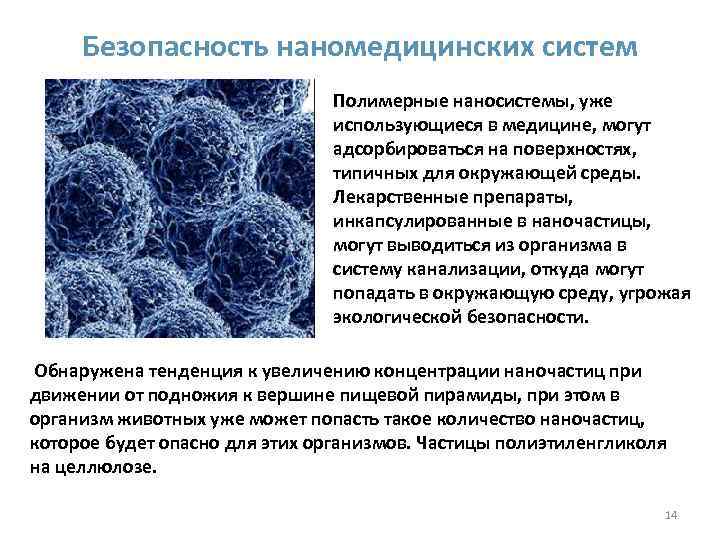 Безопасность наномедицинских систем Полимерные наносистемы, уже использующиеся в медицине, могут адсорбироваться на поверхностях, типичных