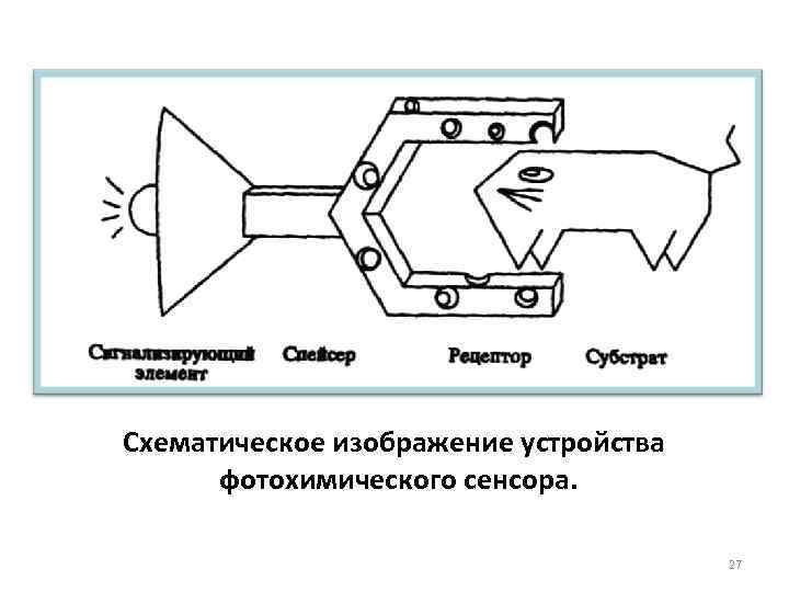 Схематическое изображение устройства фотохимического сенсора. 27 
