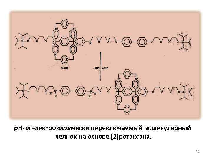 р. Н- и электрохимически переключаемый молекулярный челнок на основе [2]ротаксана. 29 