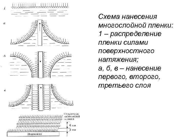 Схема нанесения многослойной пленки: 1 – распределение пленки силами поверхностного натяжения; а, б, в