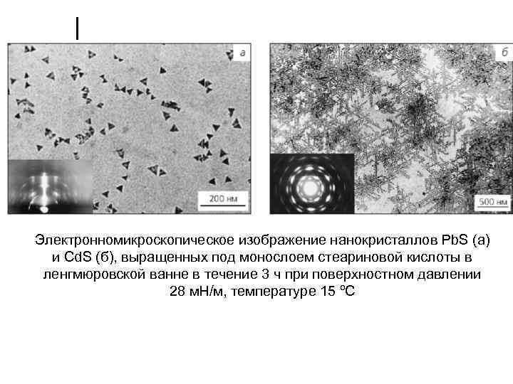 Электронномикроскопическое изображение нанокристаллов Рb. S (a) и Cd. S (б), выращенных под монослоем стеариновой