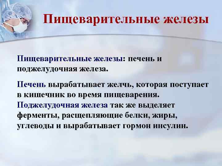 Пищеварительные железы: печень и поджелудочная железа. Печень вырабатывает желчь, которая поступает в кишечник во