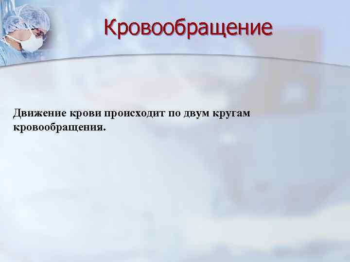 Кровообращение Движение крови происходит по двум кругам кровообращения. 