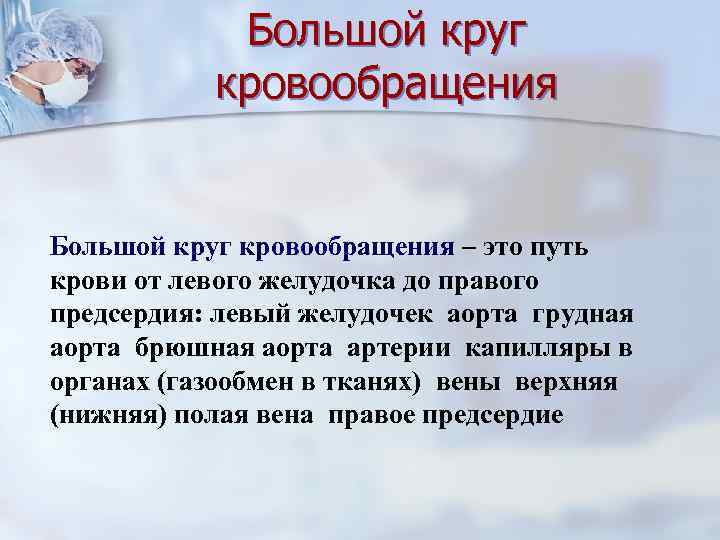 Большой круг кровообращения – это путь крови от левого желудочка до правого предсердия: левый