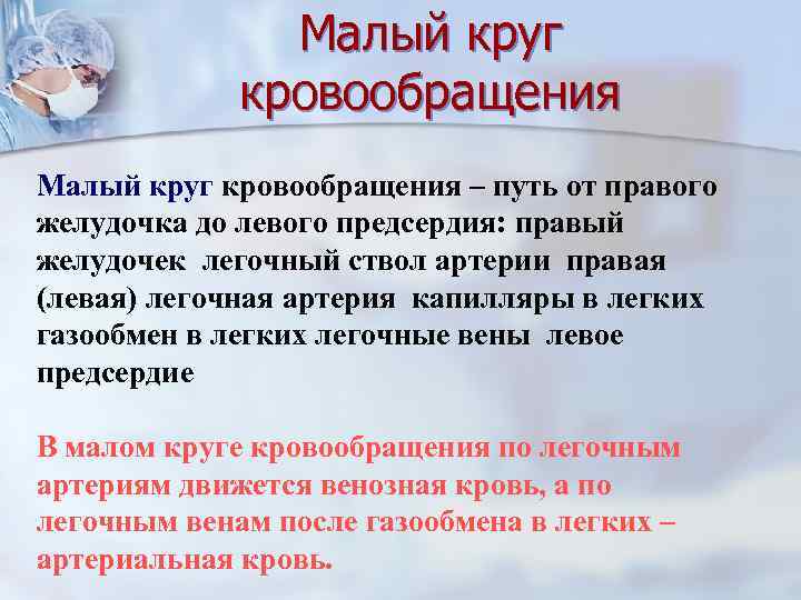 Малый круг кровообращения – путь от правого желудочка до левого предсердия: правый желудочек легочный