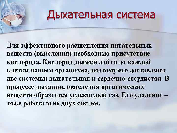 Дыхательная система Для эффективного расщепления питательных веществ (окисления) необходимо присутствие кислорода. Кислород должен дойти