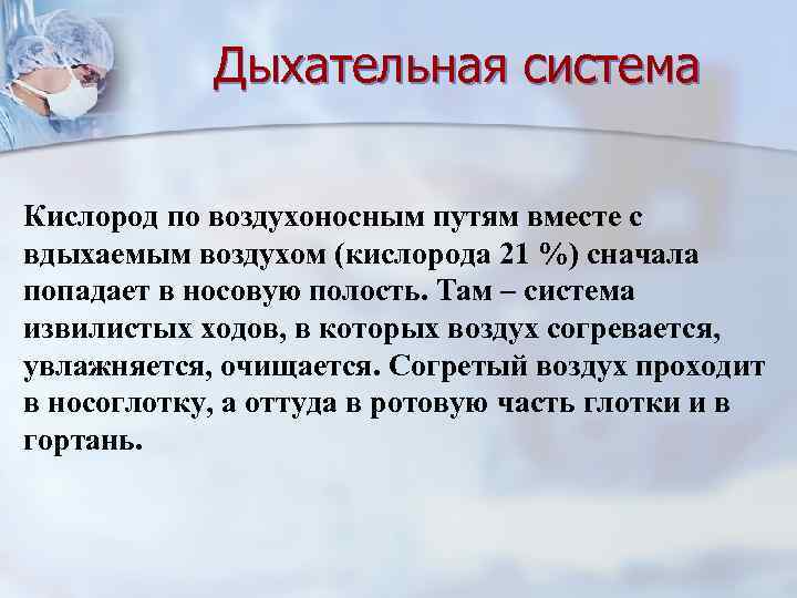 Дыхательная система Кислород по воздухоносным путям вместе с вдыхаемым воздухом (кислорода 21 %) сначала