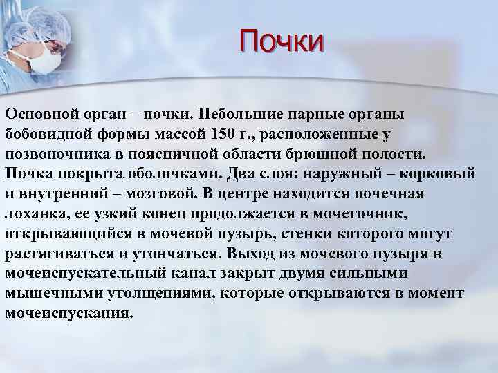 Почки Основной орган – почки. Небольшие парные органы бобовидной формы массой 150 г. ,