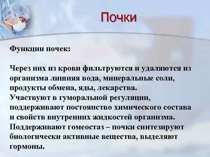 Почки Функции почек: Через них из крови фильтруются и удаляются из организма лишняя вода,