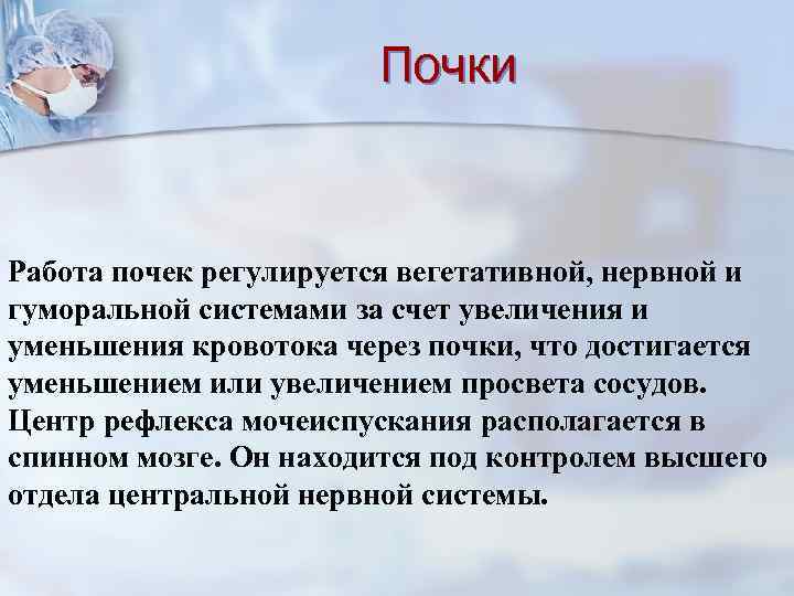 Почки Работа почек регулируется вегетативной, нервной и гуморальной системами за счет увеличения и уменьшения