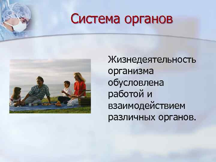 Система органов Жизнедеятельность организма обусловлена работой и взаимодействием различных органов. 