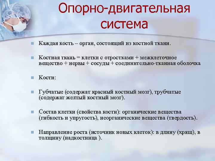 Опорно-двигательная система n Каждая кость – орган, состоящий из костной ткани. n Костная ткань