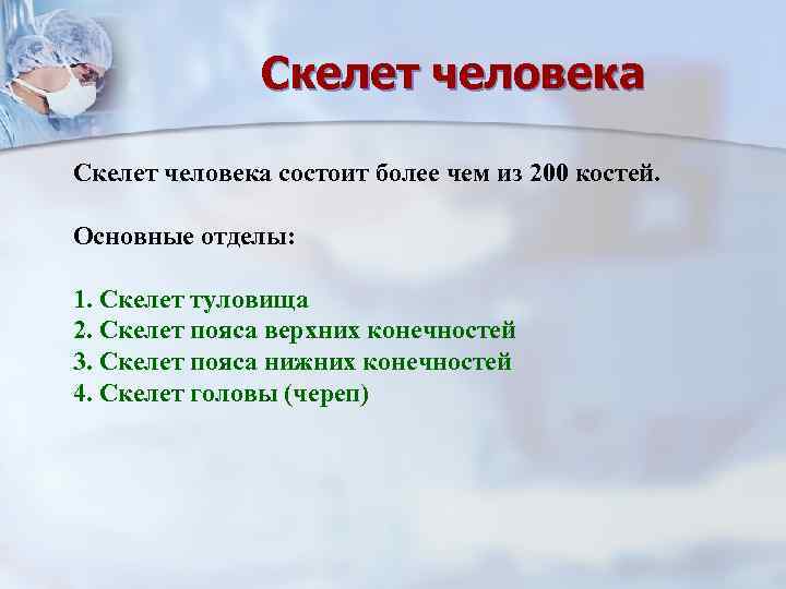 Скелет человека состоит более чем из 200 костей. Основные отделы: 1. Скелет туловища 2.