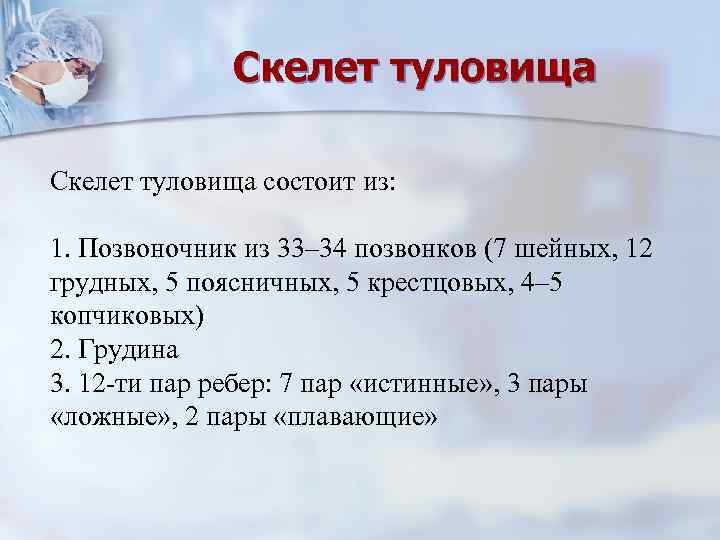 Скелет туловища состоит из: 1. Позвоночник из 33– 34 позвонков (7 шейных, 12 грудных,