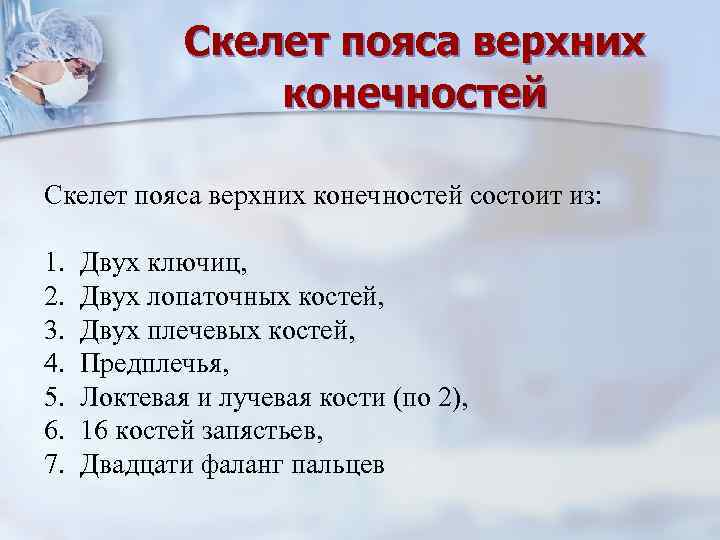 Скелет пояса верхних конечностей состоит из: 1. 2. 3. 4. 5. 6. 7. Двух