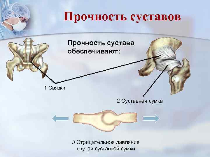 Прочность суставов Прочность сустава обеспечивают: 1 Связки 2 Суставная сумка 3 Отрицательное давление внутри