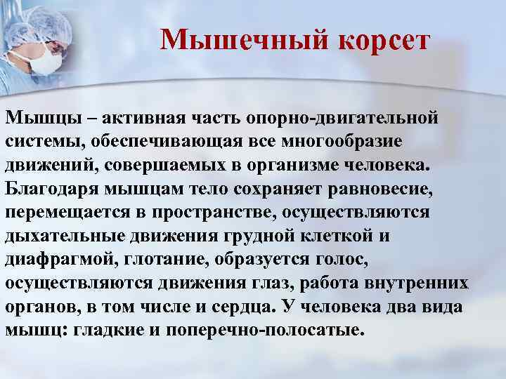 Мышечный корсет Мышцы – активная часть опорно-двигательной системы, обеспечивающая все многообразие движений, совершаемых в