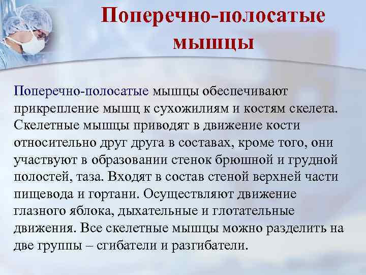 Поперечно-полосатые мышцы обеспечивают прикрепление мышц к сухожилиям и костям скелета. Скелетные мышцы приводят в