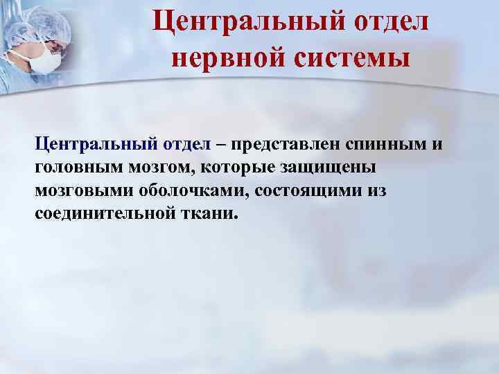 Центральный отдел нервной системы Центральный отдел – представлен спинным и головным мозгом, которые защищены