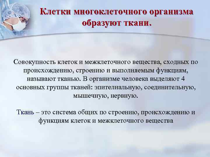 Клетки многоклеточного организма образуют ткани. Совокупность клеток и межклеточного вещества, сходных по происхождению, строению