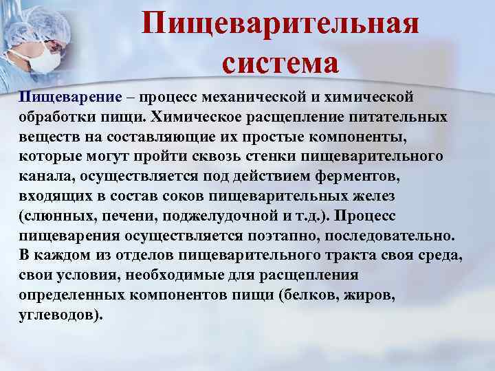 Пищеварительная система Пищеварение – процесс механической и химической обработки пищи. Химическое расщепление питательных веществ