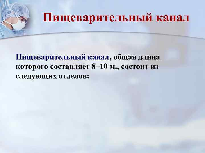 Пищеварительный канал, общая длина которого составляет 8– 10 м. , состоит из следующих отделов: