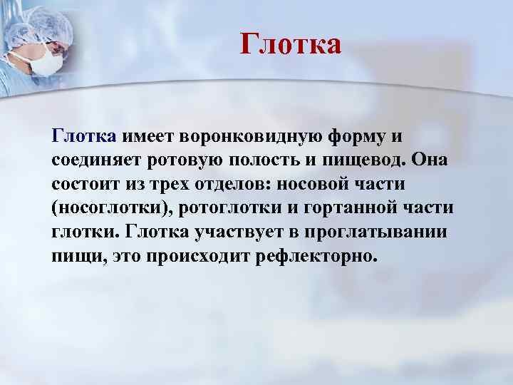 Глотка имеет воронковидную форму и соединяет ротовую полость и пищевод. Она состоит из трех