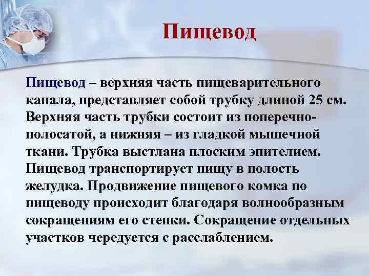 Пищевод – верхняя часть пищеварительного канала, представляет собой трубку длиной 25 см. Верхняя часть