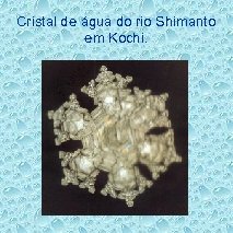 Cristal de água do rio Shimanto em Kochi. 