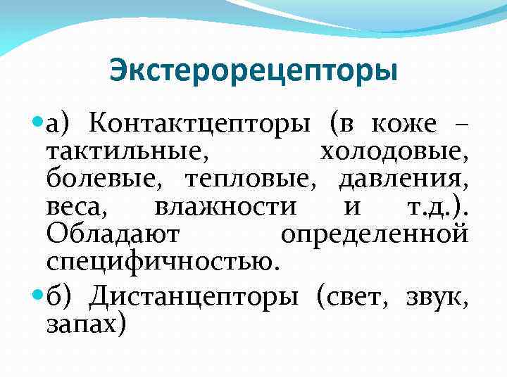 Экстерорецепторы а) Контактцепторы (в коже – тактильные, холодовые, болевые, тепловые, давления, веса, влажности и