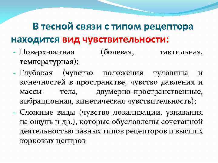 В тесной связи с типом рецептора находится вид чувствительности: - Поверхностная (болевая, тактильная, температурная);