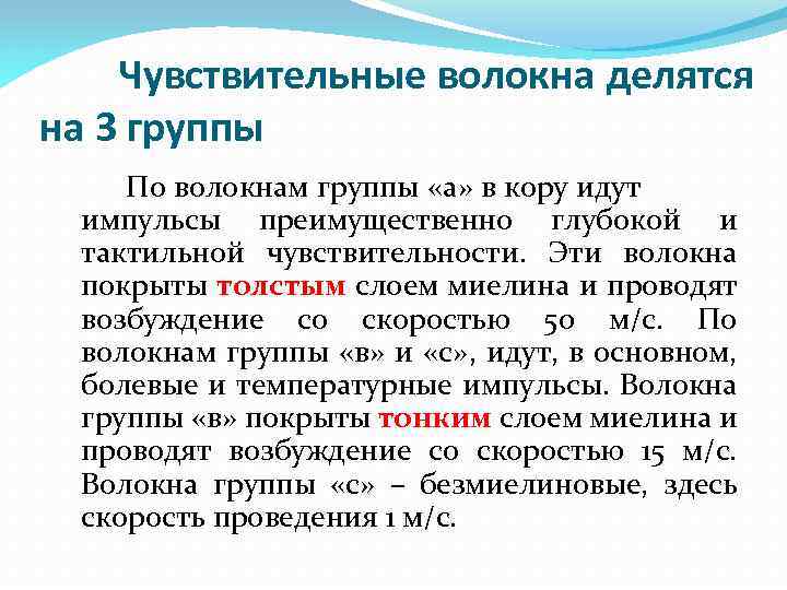 Чувствительные волокна делятся на 3 группы По волокнам группы «а» в кору идут импульсы