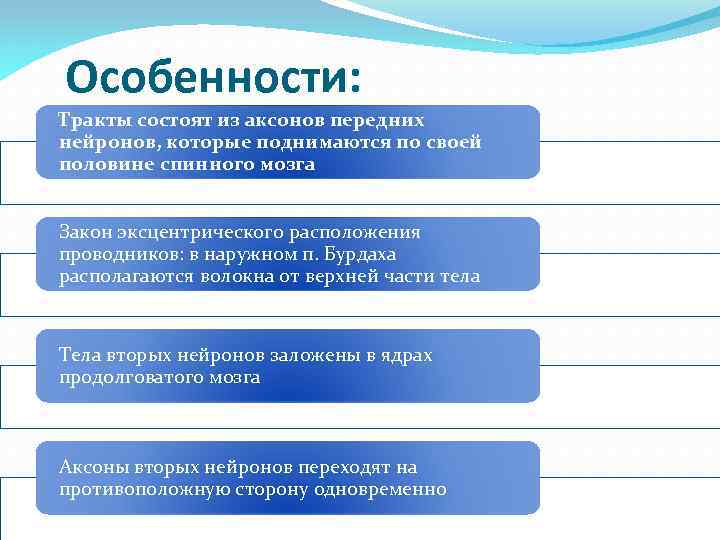 Особенности: Тракты состоят из аксонов передних нейронов, которые поднимаются по своей половине спинного мозга