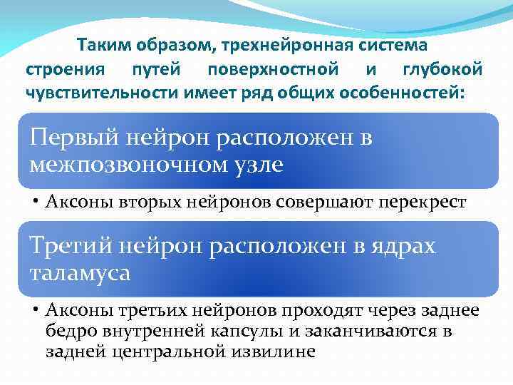 Таким образом, трехнейронная система строения путей поверхностной и глубокой чувствительности имеет ряд общих особенностей: