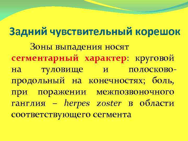 Задний чувствительный корешок Зоны выпадения носят сегментарный характер: круговой на туловище и полосковопродольный на