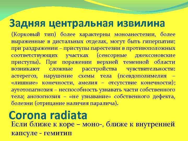 Задняя центральная извилина (Корковый тип) более характерны моноанестезии, более выраженные в дистальных отделах, могут